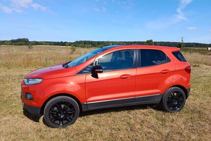 Ford EcoSport Gebrauchtwagen