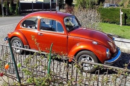 VW Käfer Gebrauchtwagen