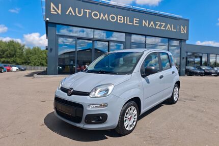 Fiat Panda Gebrauchtwagen
