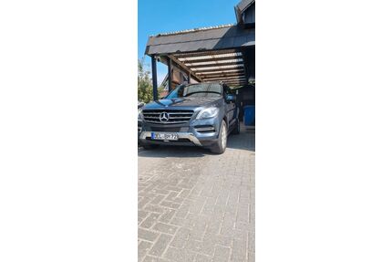 Mercedes-Benz 250 Gebrauchtwagen