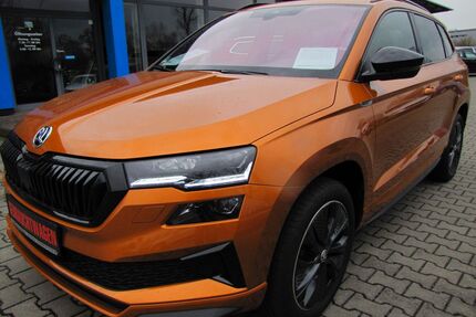 Skoda Karoq Gebrauchtwagen