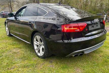 Audi S5 Gebrauchtwagen