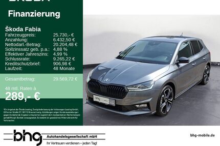 Skoda Fabia Gebrauchtwagen