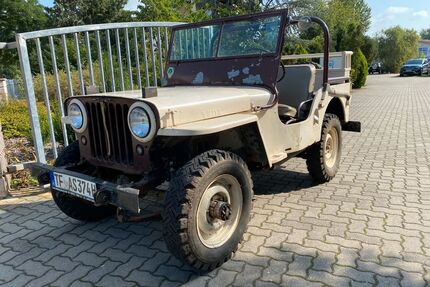 Jeep Willys Oldtimer