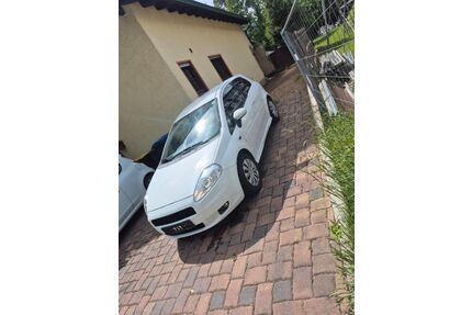 Fiat Punto Gebrauchtwagen