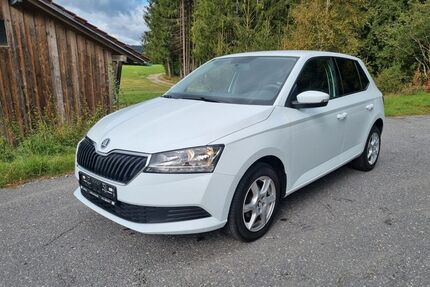 Skoda Fabia Gebrauchtwagen