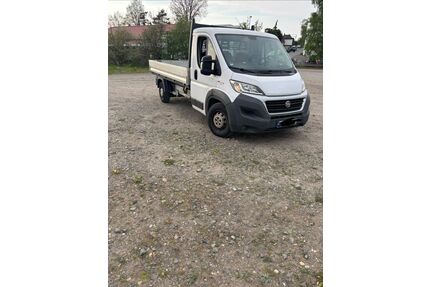 Fiat Ducato Gebrauchtwagen