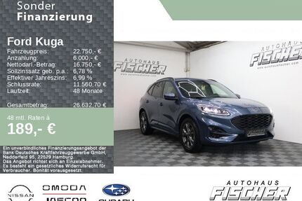 Ford Kuga Gebrauchtwagen