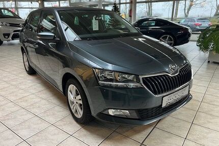 Skoda Fabia Gebrauchtwagen