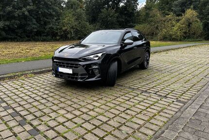 Cupra Terramar Gebrauchtwagen