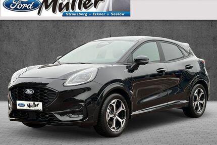 Ford Puma Gebrauchtwagen