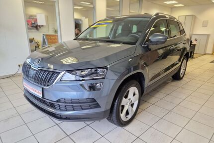 Skoda Karoq Gebrauchtwagen