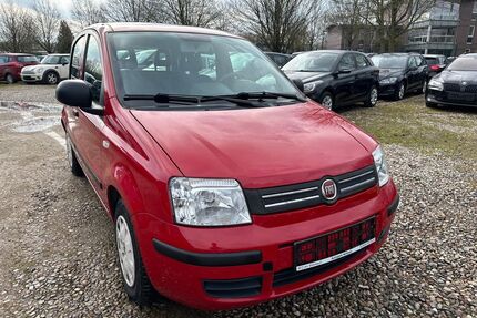 Fiat Panda Gebrauchtwagen
