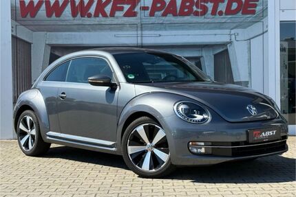VW Beetle Gebrauchtwagen
