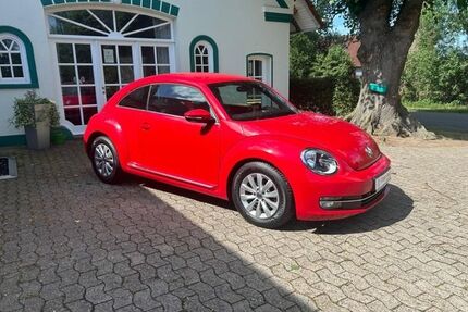 VW Beetle Gebrauchtwagen