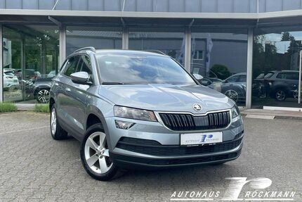 Skoda Karoq Gebrauchtwagen