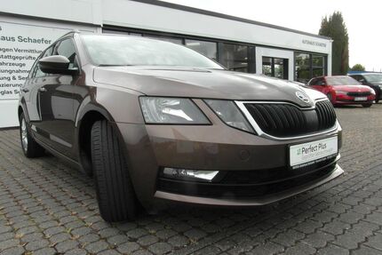 Skoda Octavia Gebrauchtwagen