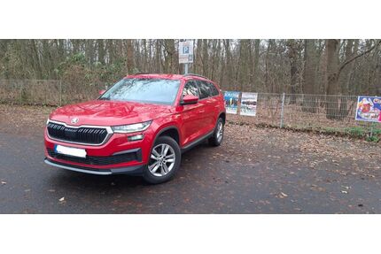 Skoda Kodiaq Gebrauchtwagen