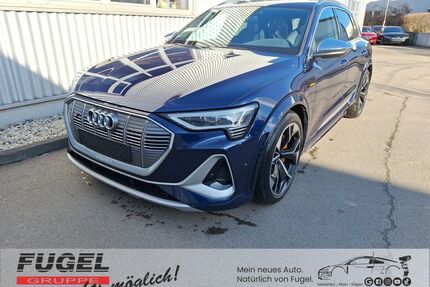 Audi e-tron Gebrauchtwagen