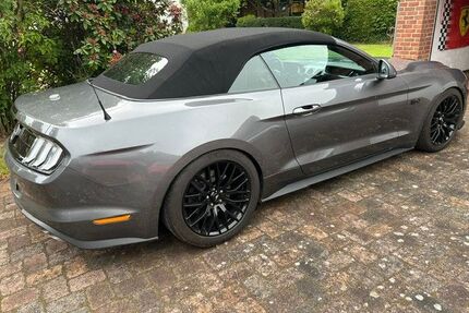 Ford Mustang Gebrauchtwagen