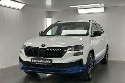 Skoda Karoq Gebrauchtwagen