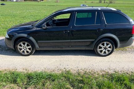 Skoda Octavia Gebrauchtwagen