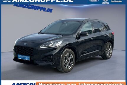 Ford Kuga Gebrauchtwagen