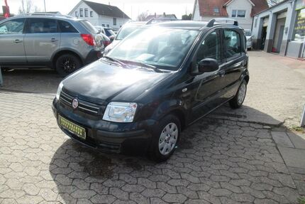 Fiat New Panda Gebrauchtwagen