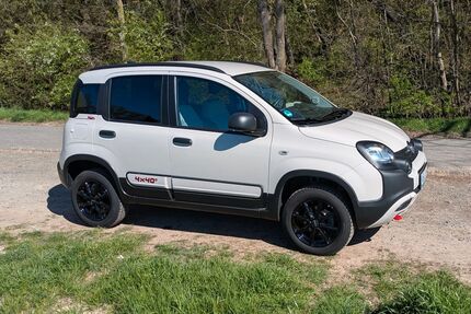 Fiat Panda Gebrauchtwagen