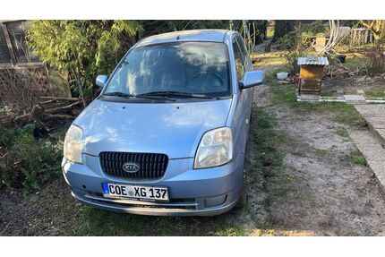 Kia Picanto Gebrauchtwagen