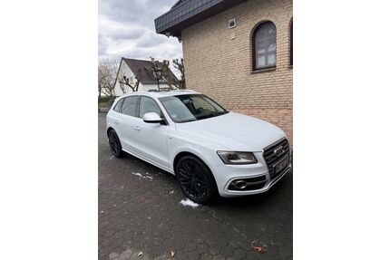 Audi SQ5 Gebrauchtwagen