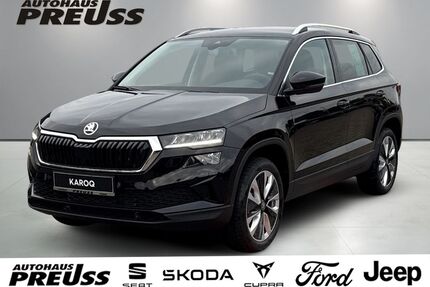 Skoda Karoq Gebrauchtwagen