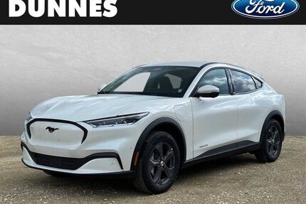 Ford Mustang Mach-E Gebrauchtwagen