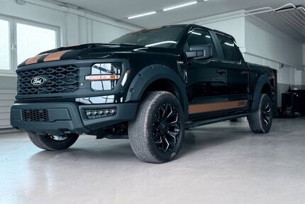 Ford F 150 Gebrauchtwagen