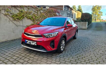 Kia Stonic Gebrauchtwagen