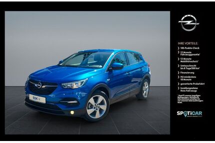 Opel Grandland (X) Gebrauchtwagen