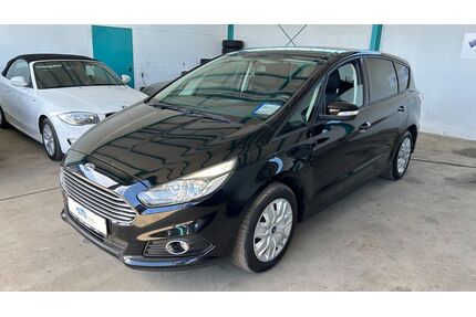 Ford S-Max Gebrauchtwagen