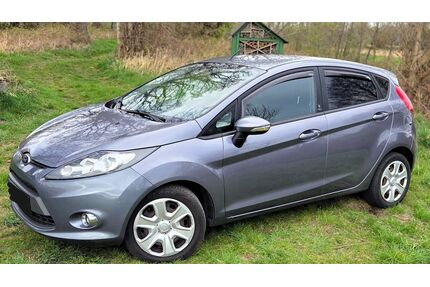 Ford Fiesta Gebrauchtwagen