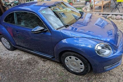 VW Beetle Gebrauchtwagen