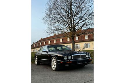 Jaguar Daimler Gebrauchtwagen