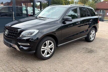 Mercedes-Benz ML 350 Gebrauchtwagen