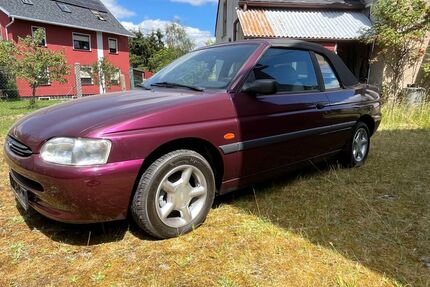 Ford Escort Gebrauchtwagen