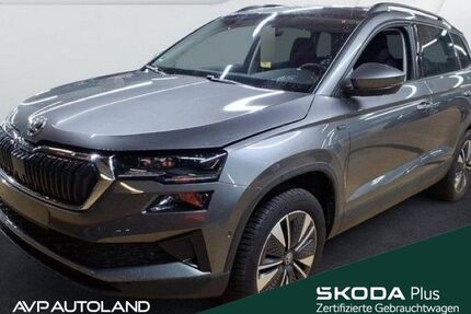 Skoda Karoq Gebrauchtwagen