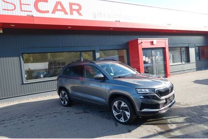 Skoda Karoq Gebrauchtwagen