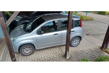 Fiat New Panda Gebrauchtwagen