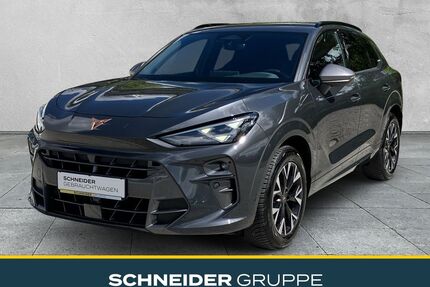 Cupra Terramar Gebrauchtwagen