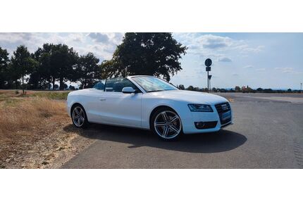 Audi A5 Gebrauchtwagen