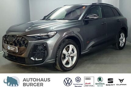 Audi SQ5 Gebrauchtwagen