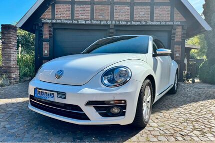 VW Beetle Gebrauchtwagen