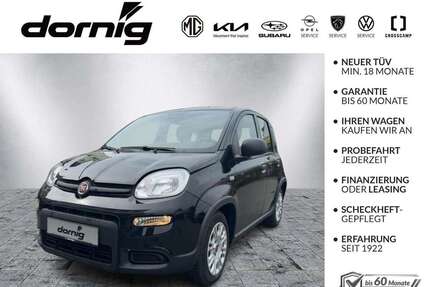 Fiat Panda Gebrauchtwagen
